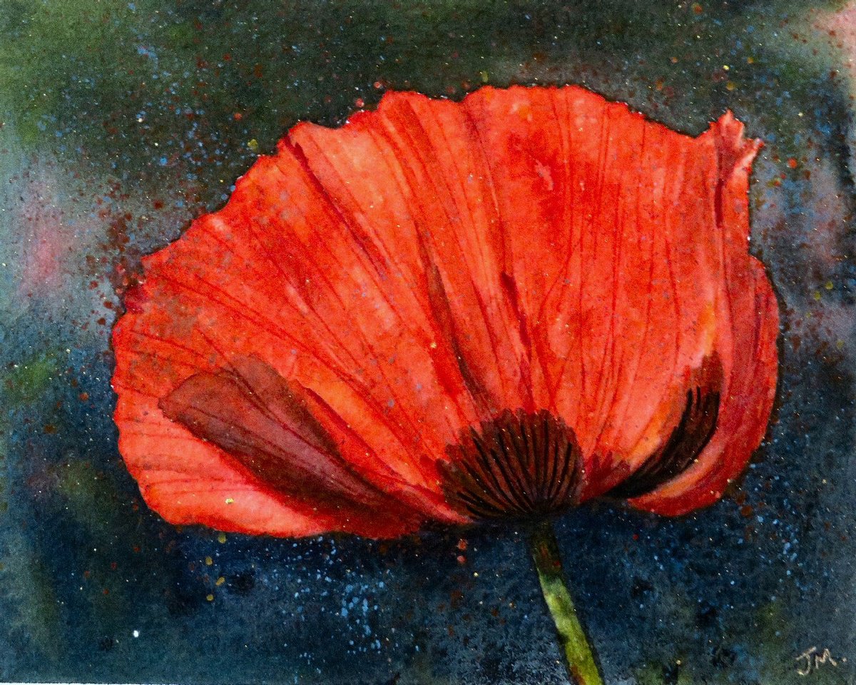 Poppy Red by JULIE MORRIS