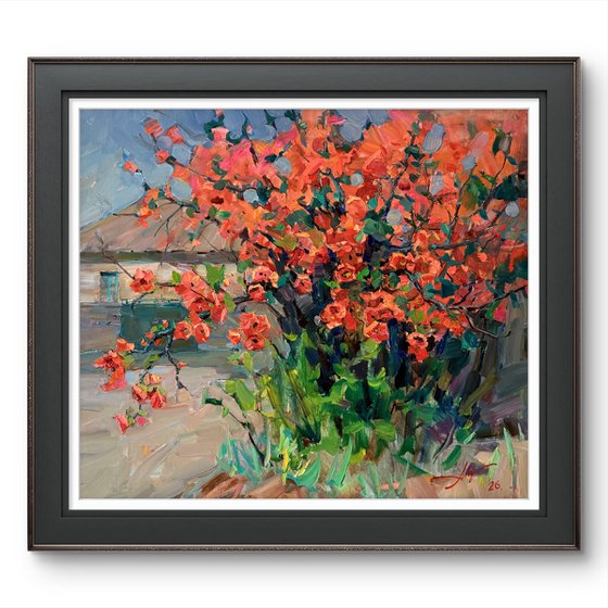 Quince in Bloom