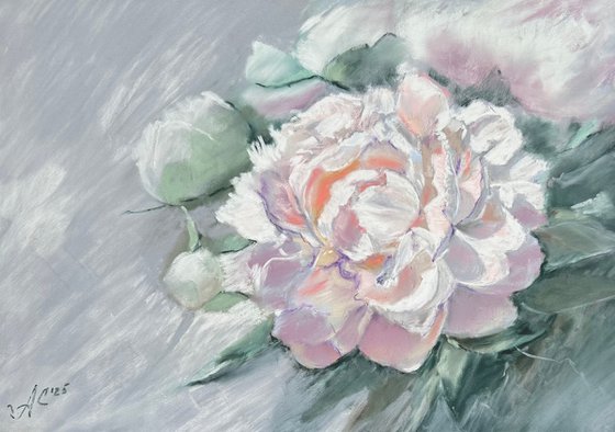 White Peony