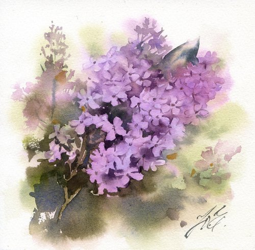 Lilac branch on a square sheet of paper by Yulia Evsyukova