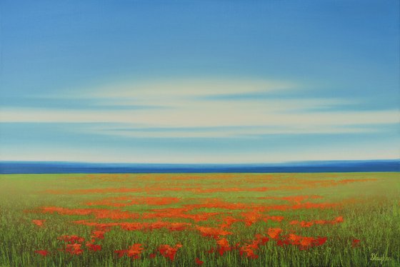 Lush Poppy Field - Blue Sky Flower Field Landscape