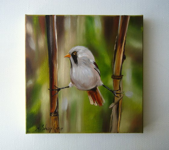 Charming Bird Oil Painting