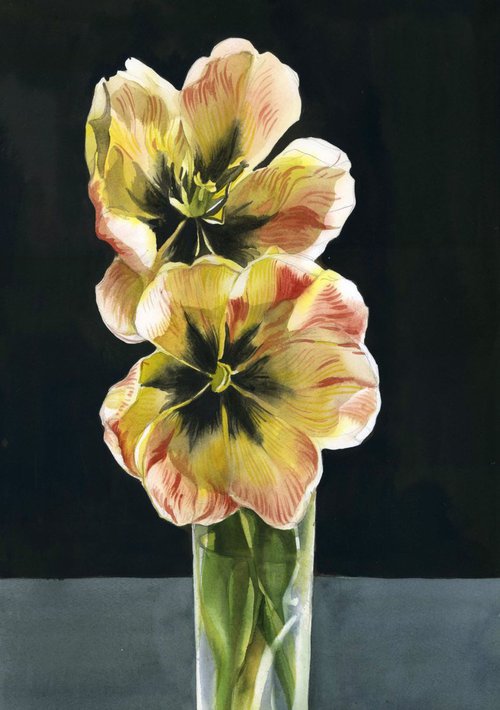 Tulips still life by Alfred  Ng