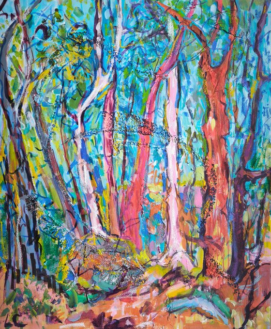 Forest Sanctuary