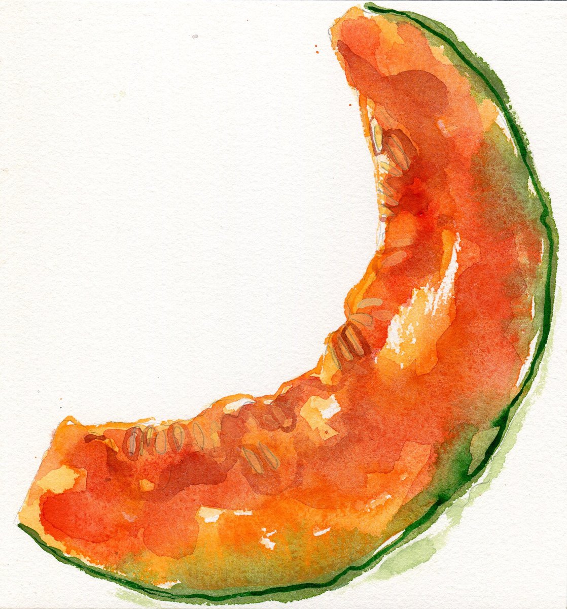 Cantaloupe melon slice by Hannah Clark