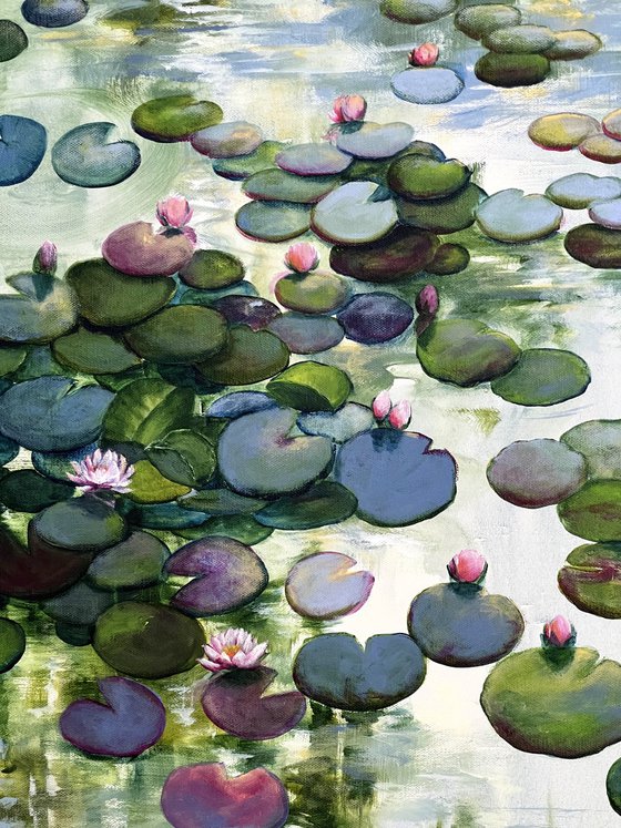 Always Waterlilies 8