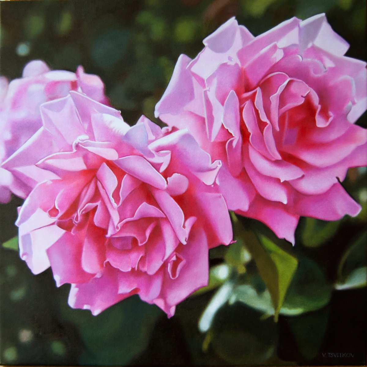 Photorealistic Botanical Oil Painting By Valeri Tsvetkov, 20 X 20", Pink Roses, Original Artwork