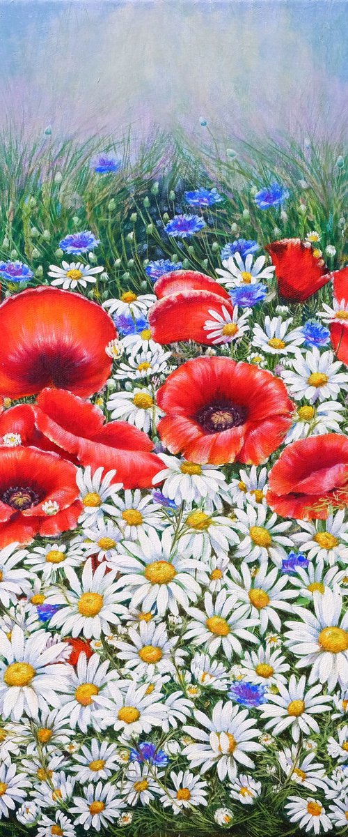Poppies and daisies. by Anastasia Woron