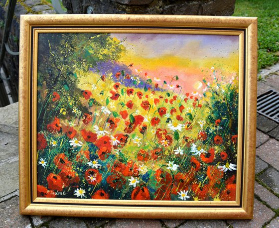 Summer landscapewith poppies