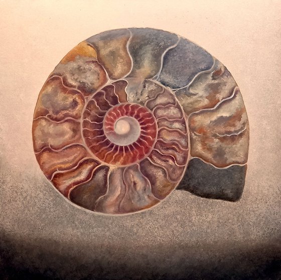 Silvery Ammonite