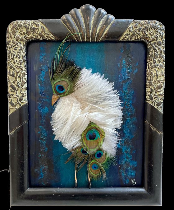 THE SEA OSTRICH