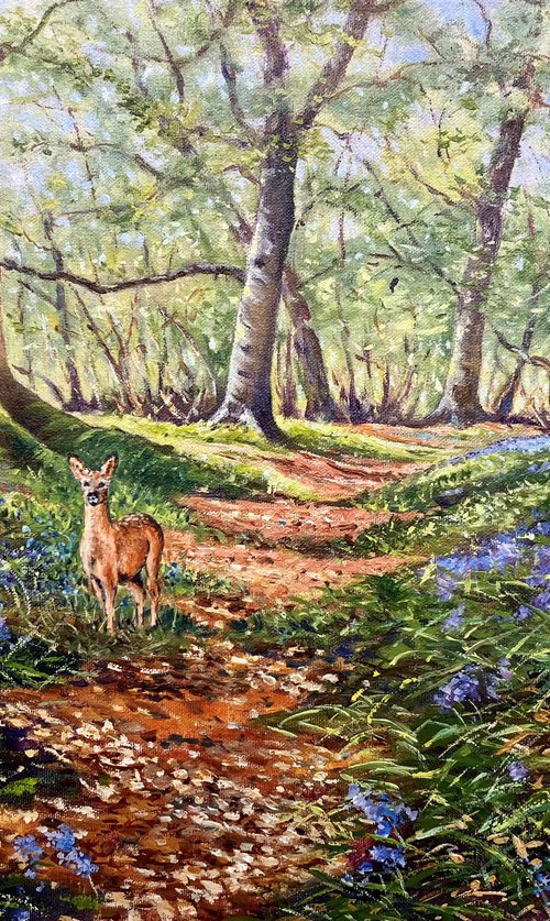 Roe Amoung the Bluebells by Peter Frost