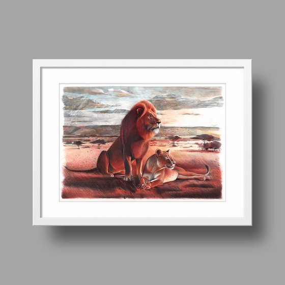 Lions