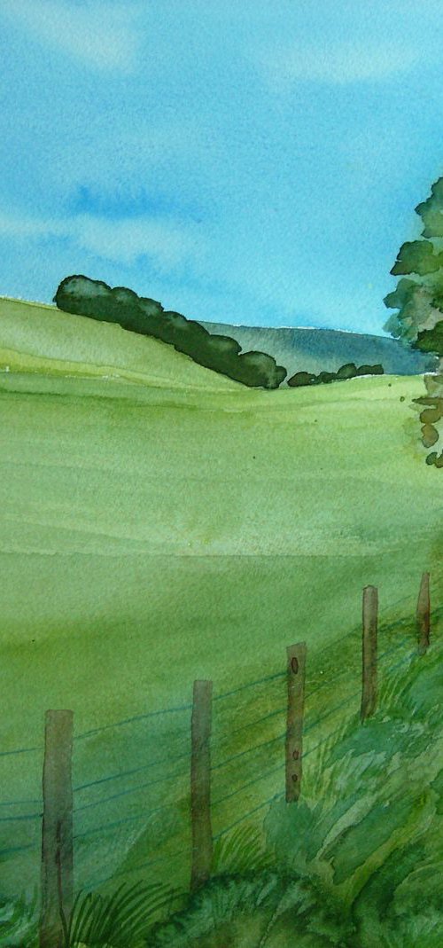 Sussex Fields by Mary Stubberfield