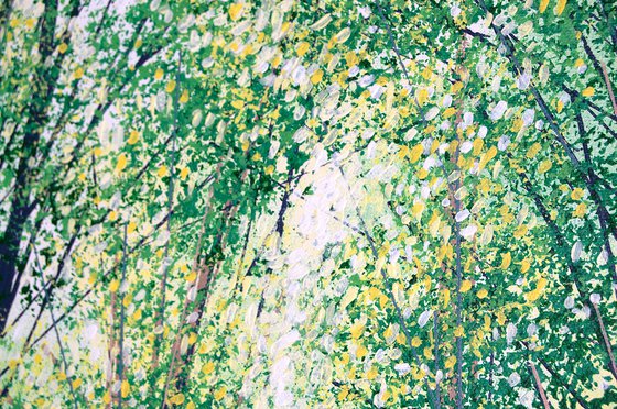 Summer Forest Path
