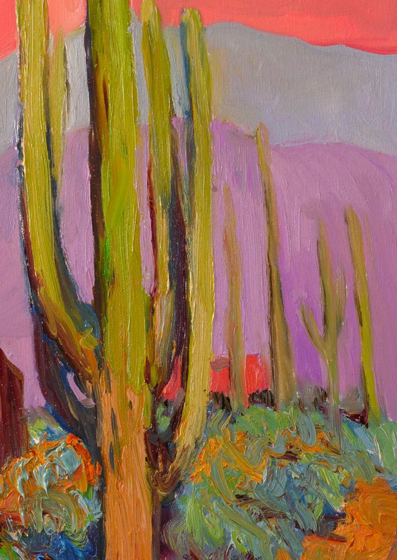 Pink House and Saguaros