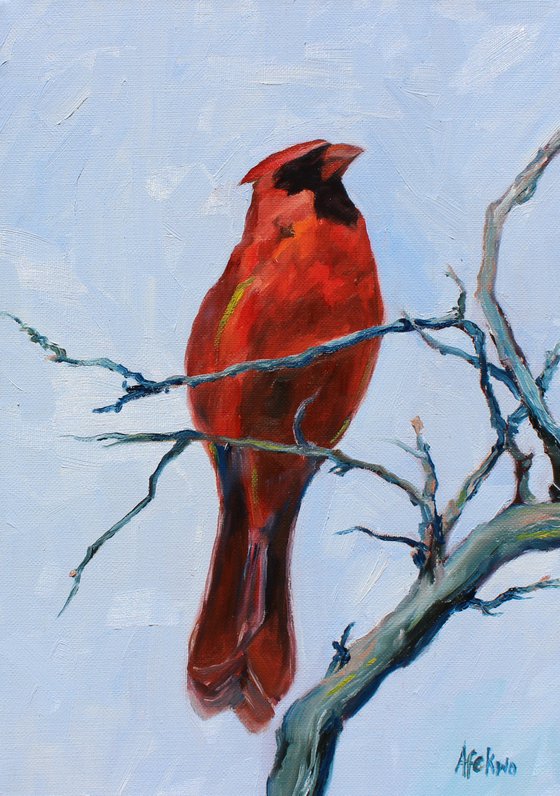 Song birds - Cardinal III