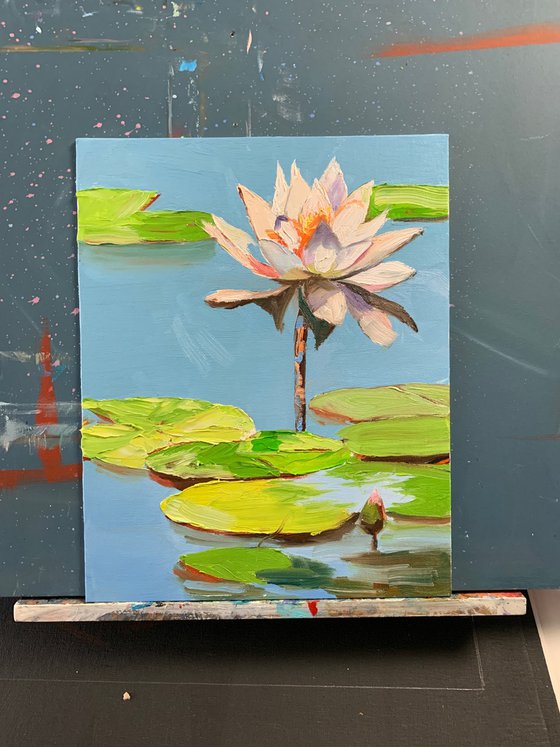 Water Lily. Lilies pond.