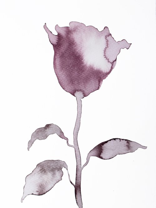 Rose No. 9 by Elizabeth Becker