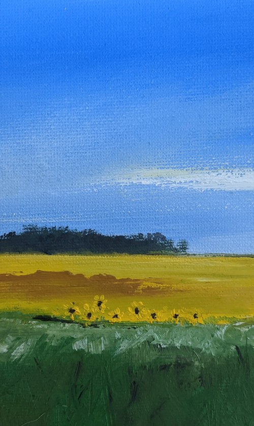 Miniature Sunflowers Landscape #2 by Jo Earl