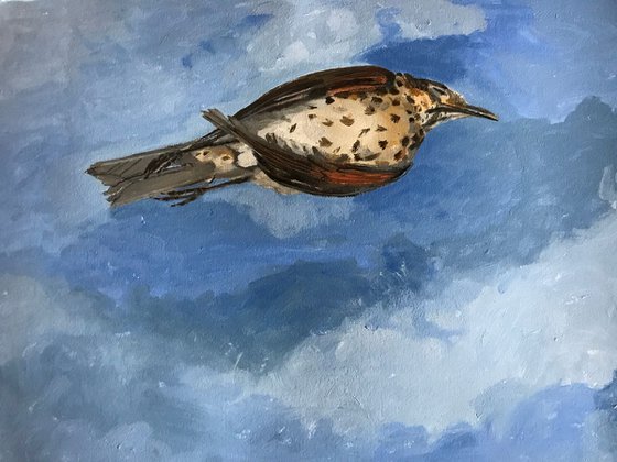 Dreaming of flying