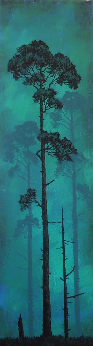 Illuminated Pine by Anthony Al Gulaidi