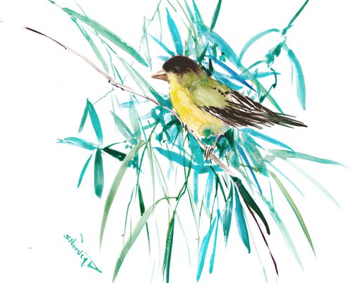 LAssers Goldfinch by Suren Nersisyan