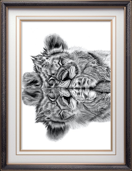 Lion Cub Reflection