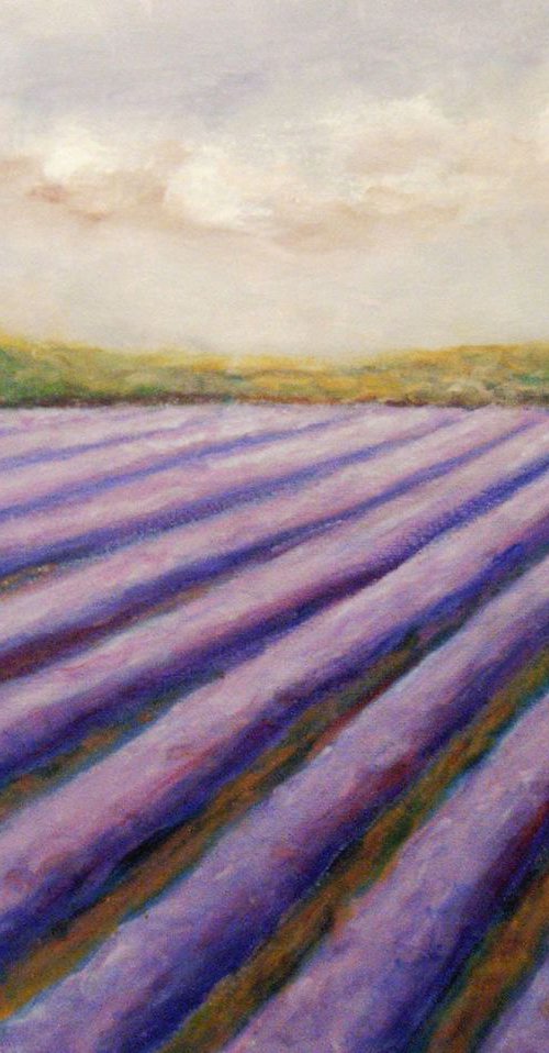 Lavender field by Kristina Valić