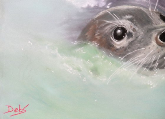 Mr Seal