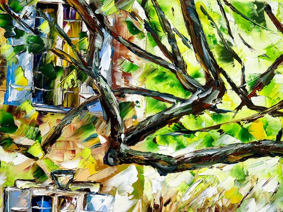 In the Light of Provence