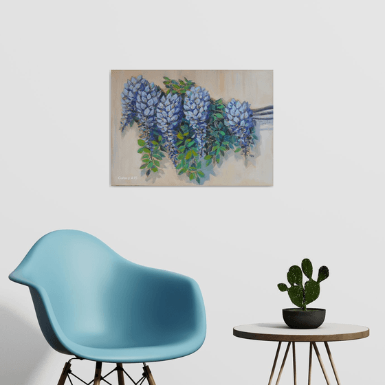 Wisteria