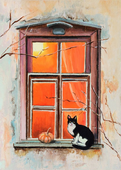 Tuxedo cat in a windowsill by Lucia Verdejo