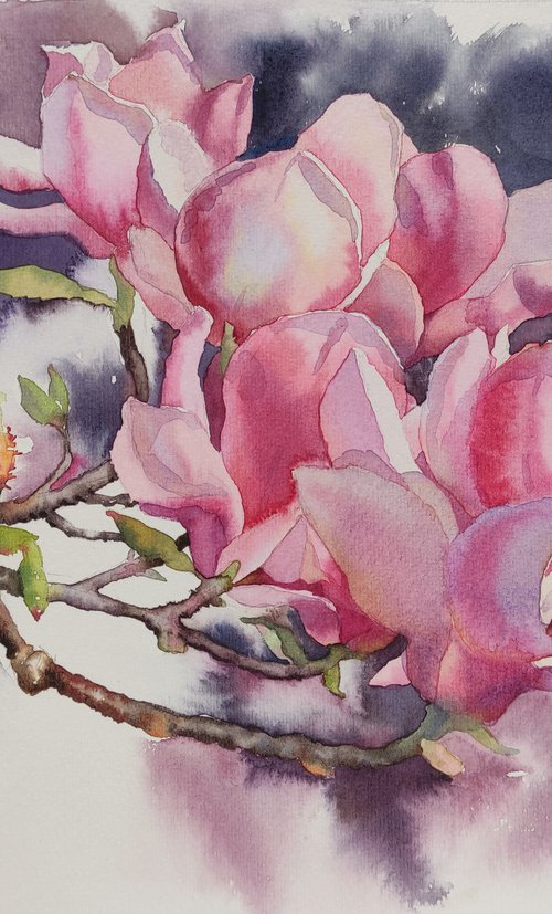 Ukrainian watercolor. Pink magnolias in Wroclaw. Stolen spring by Nina Zakharova