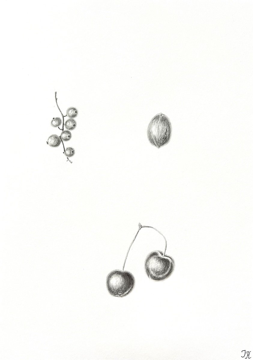 Photorealistic Still Life Pencil Drawing By Tetiana Kovalova, 8 X 12", Gifts Of Nature, Original Artwork