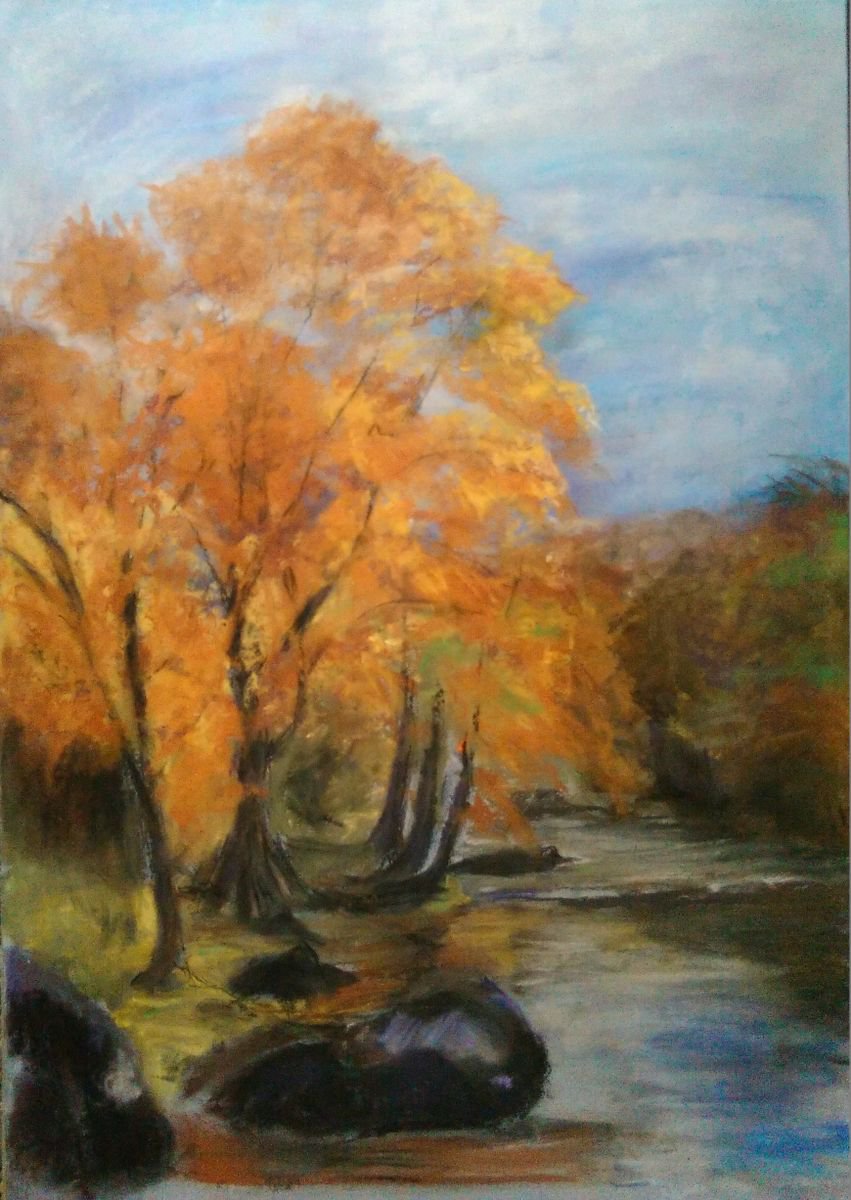 Afon Llugwy by Peter Gaskin