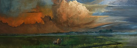 Buffalo Crossing