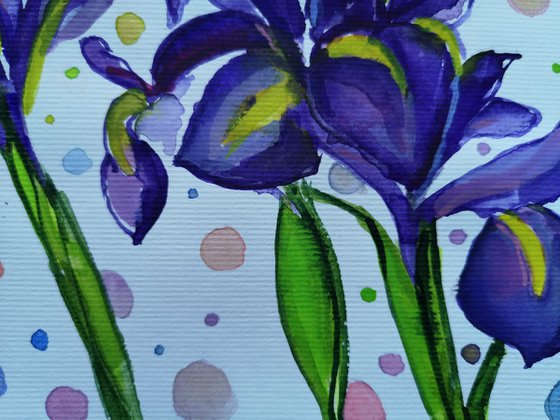 Irises