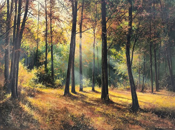 Sunlit Autumn Forest