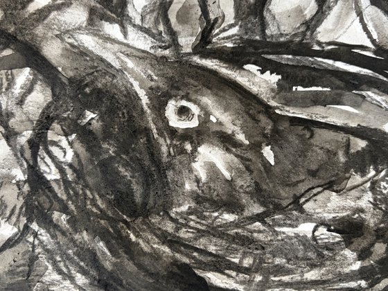 Nest