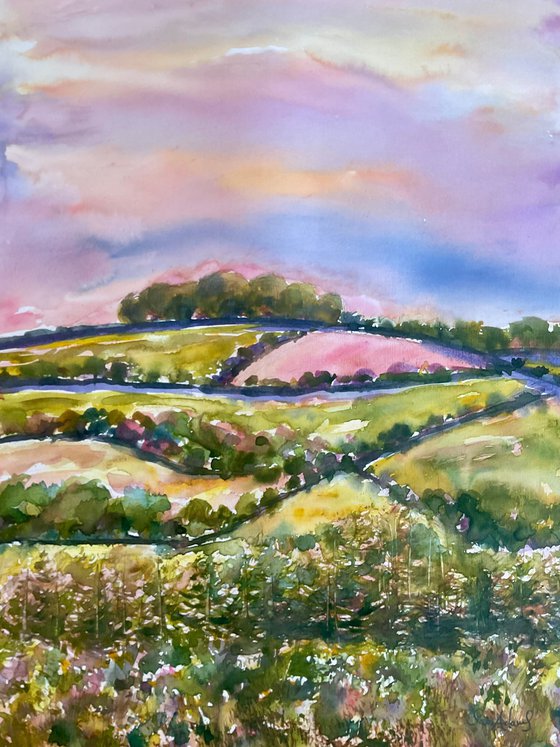 Brendon hills valley, Exmoor, Somerset