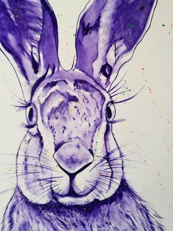 ' Purple Hare ' on paper 42cm x 59cm