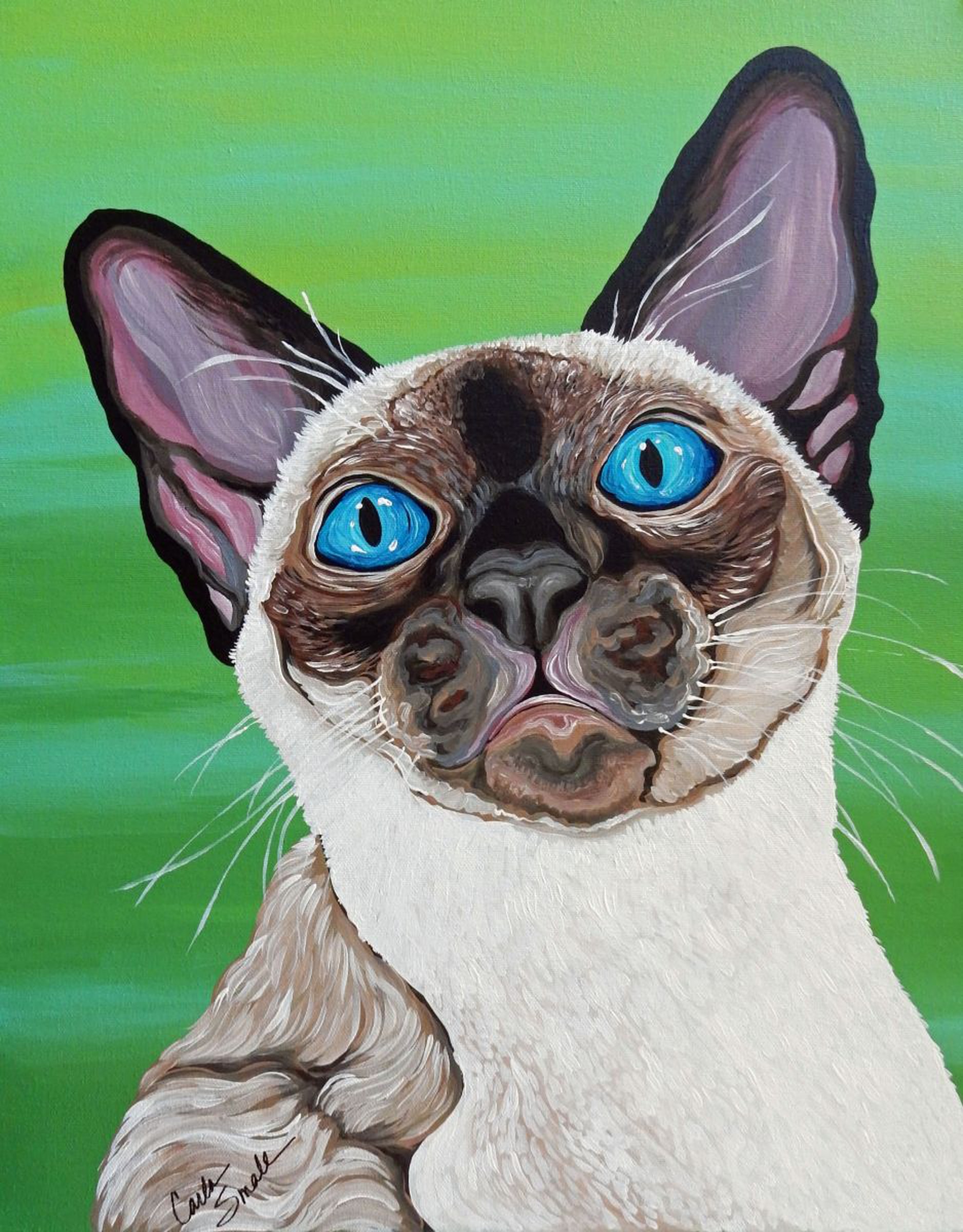 Siamese Cat Acrylic Gouache 16 X 20 Stretched Ca Artfinder