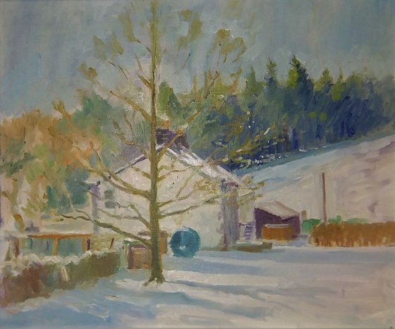 The cottages in winter