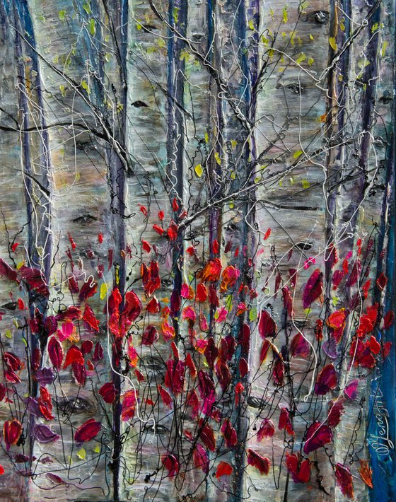 Birch Trees