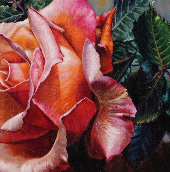 Rose flower 1