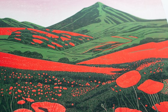 'Hillside Poppies in Bloom'