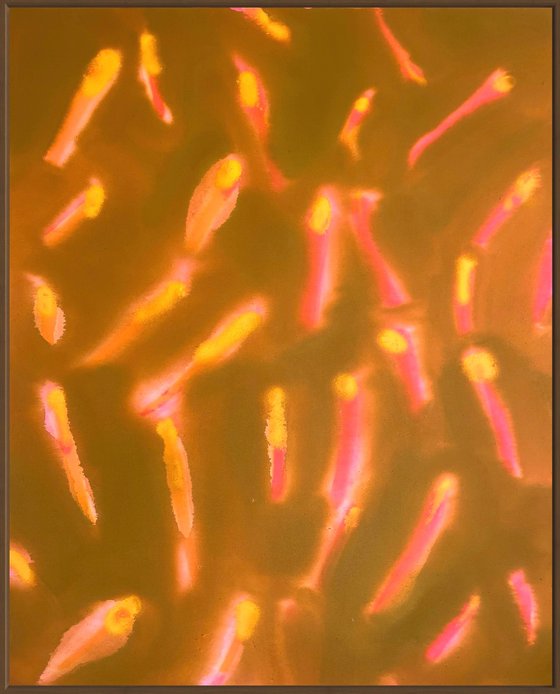FESTIVE GLOW – ABSTRACT LIGHTS