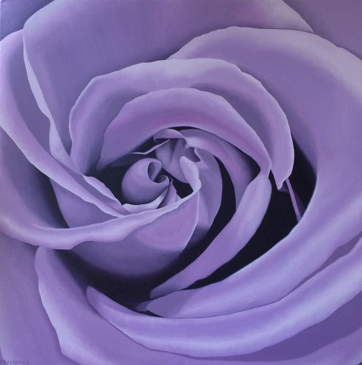 Photorealistic Botanical Oil Painting By Jill Ann Harper, 30 X 30, Lilac Rose, Original Artwork