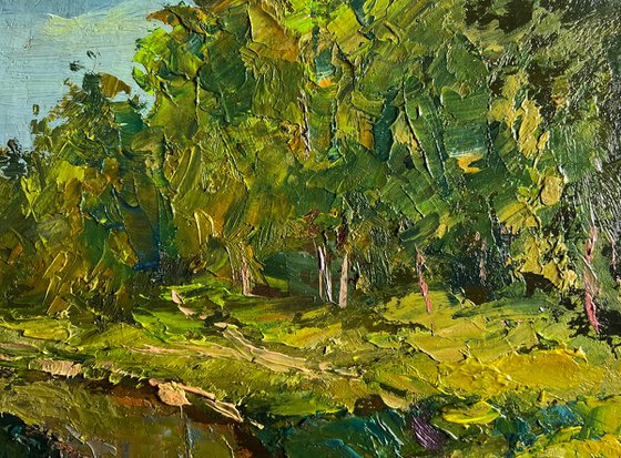 Forest along the River